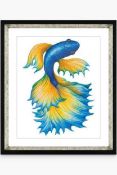 RRP £80 John Lewis Fancy Fish 1 - Framed Print & Mount, 56 X 46Cm, Orange/Blue