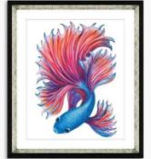 RRP £80 John Lewis Fancy Fish 2 - Framed Print & Mount, 56 X 46Cm, Red/Blue
