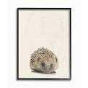 RRP £150 The Stuppell Home Decor Collection Just A Cute Hedgehog Canvas Wall Art