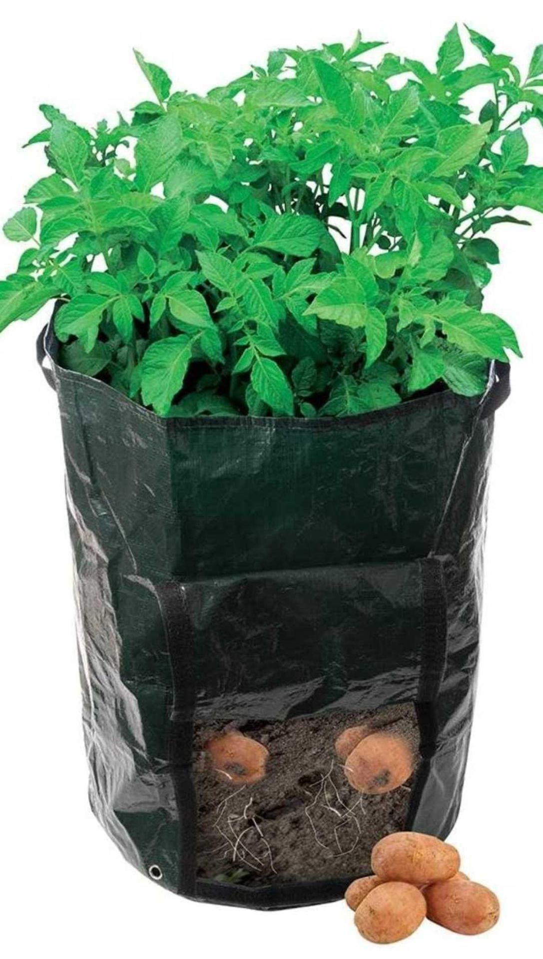 RRP £200 Lot to contain 20 Silverline potato bag 360x510mm