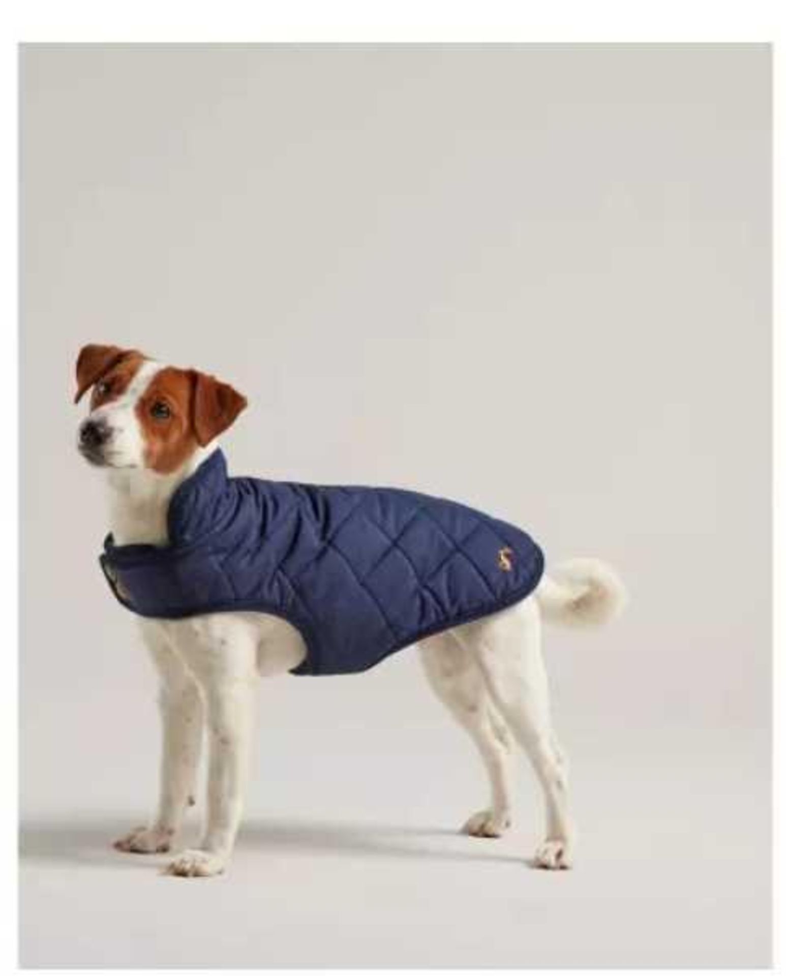 RRP £100 Lot To Contain 2 Dog Coats.