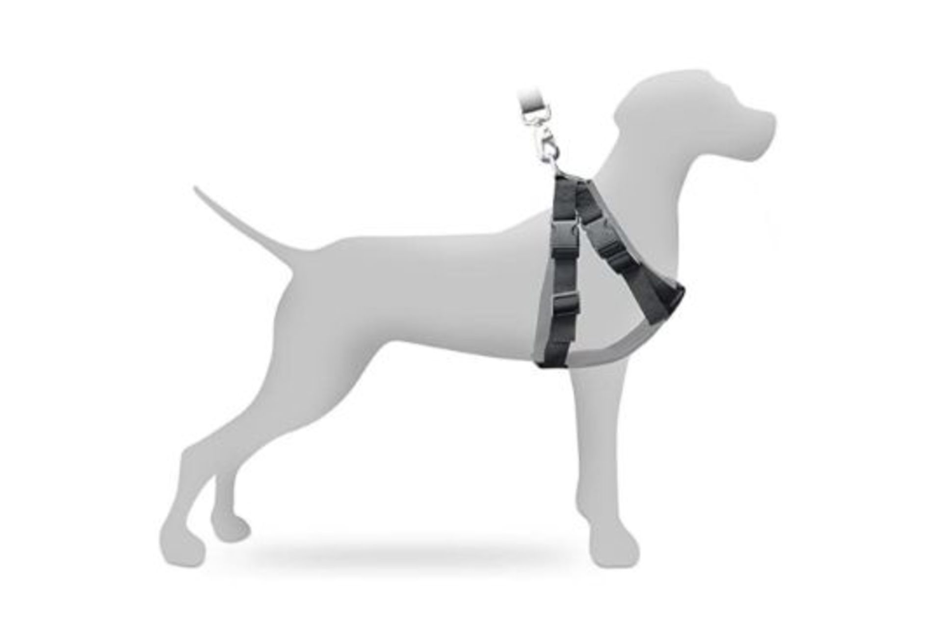 RRP £15.99 10 x Relaxdays Dog Harness/Belt