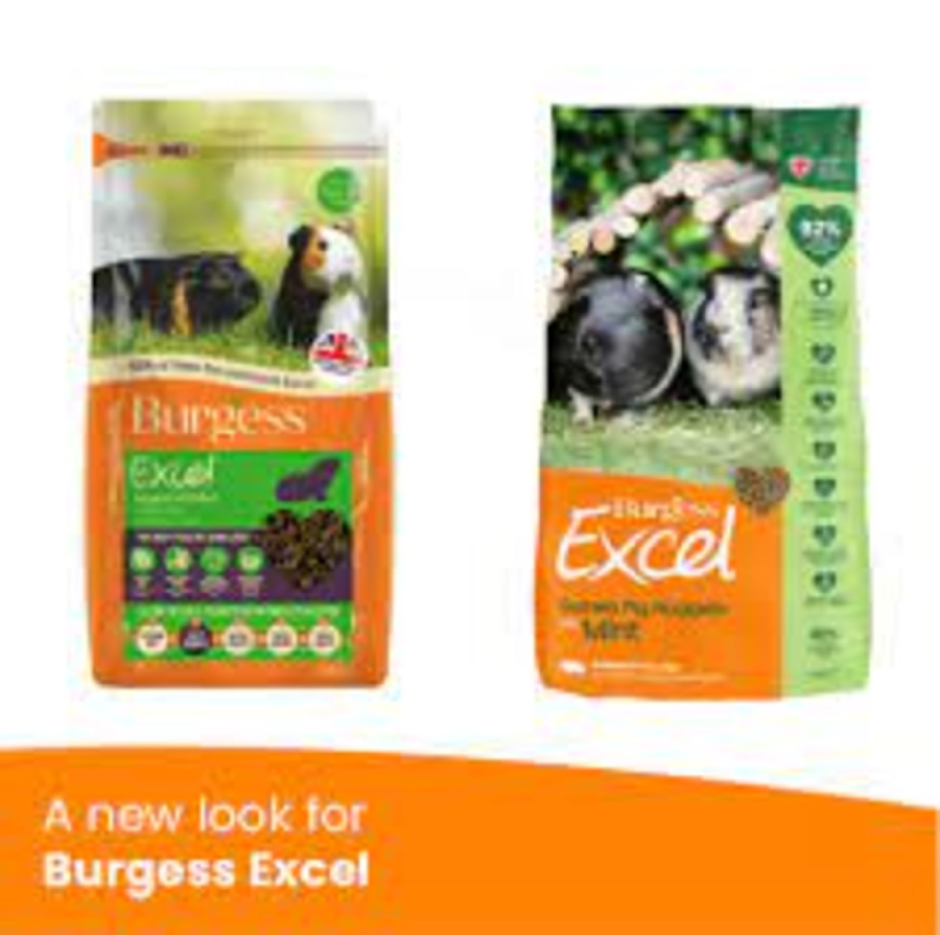 RRP £500 (Count 22 ) Spw34N3386T Burgess Excel Guinea Pig Nuggets With Mint 9Kg, Green (Condition
