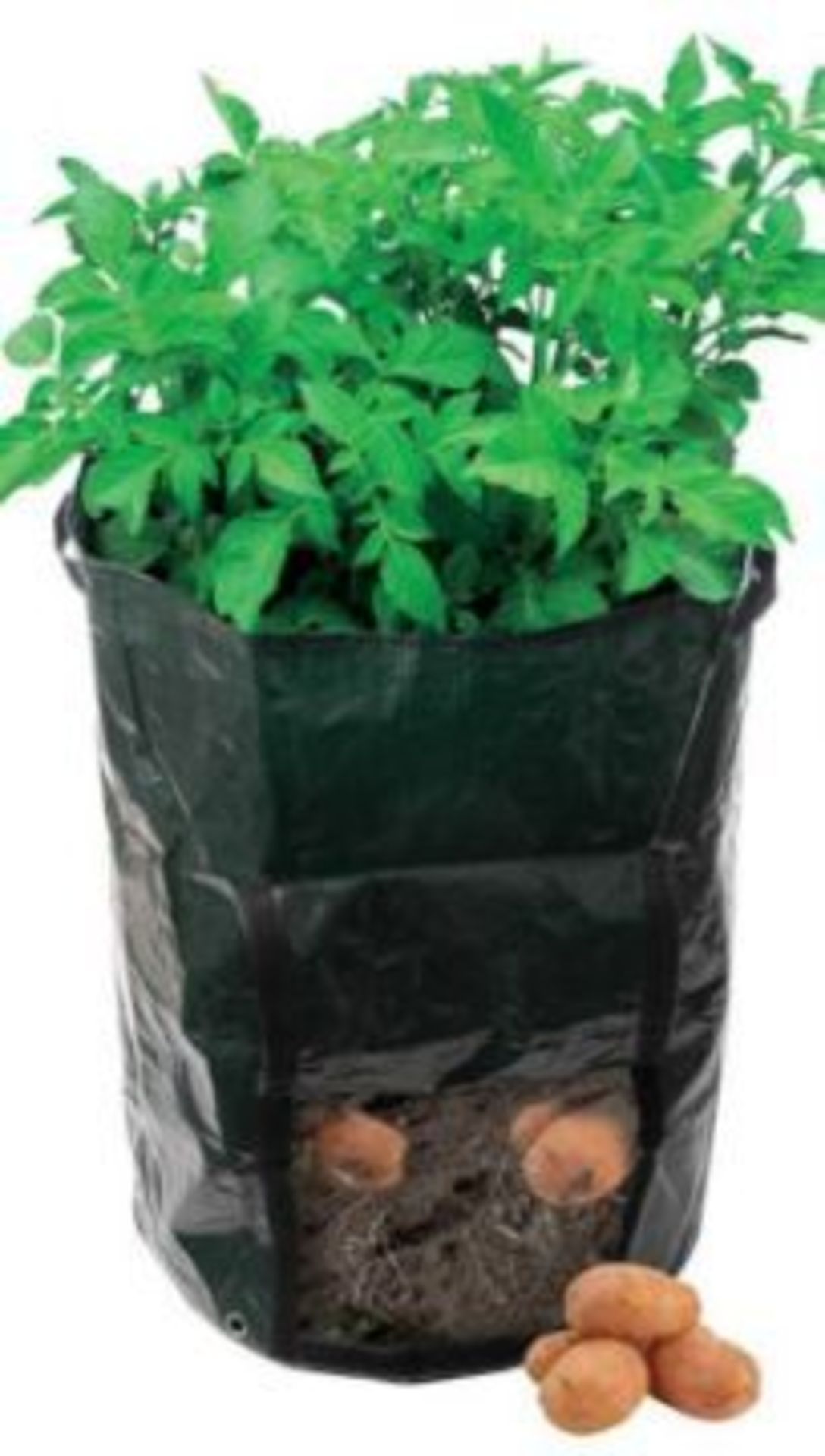 RRP £100 Lot To Contain 10 Bagged Silverline Potato Planting Bags