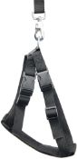 RRP 15.99 10 x Relaxdays Dog Harness/Belt RRP 15.99