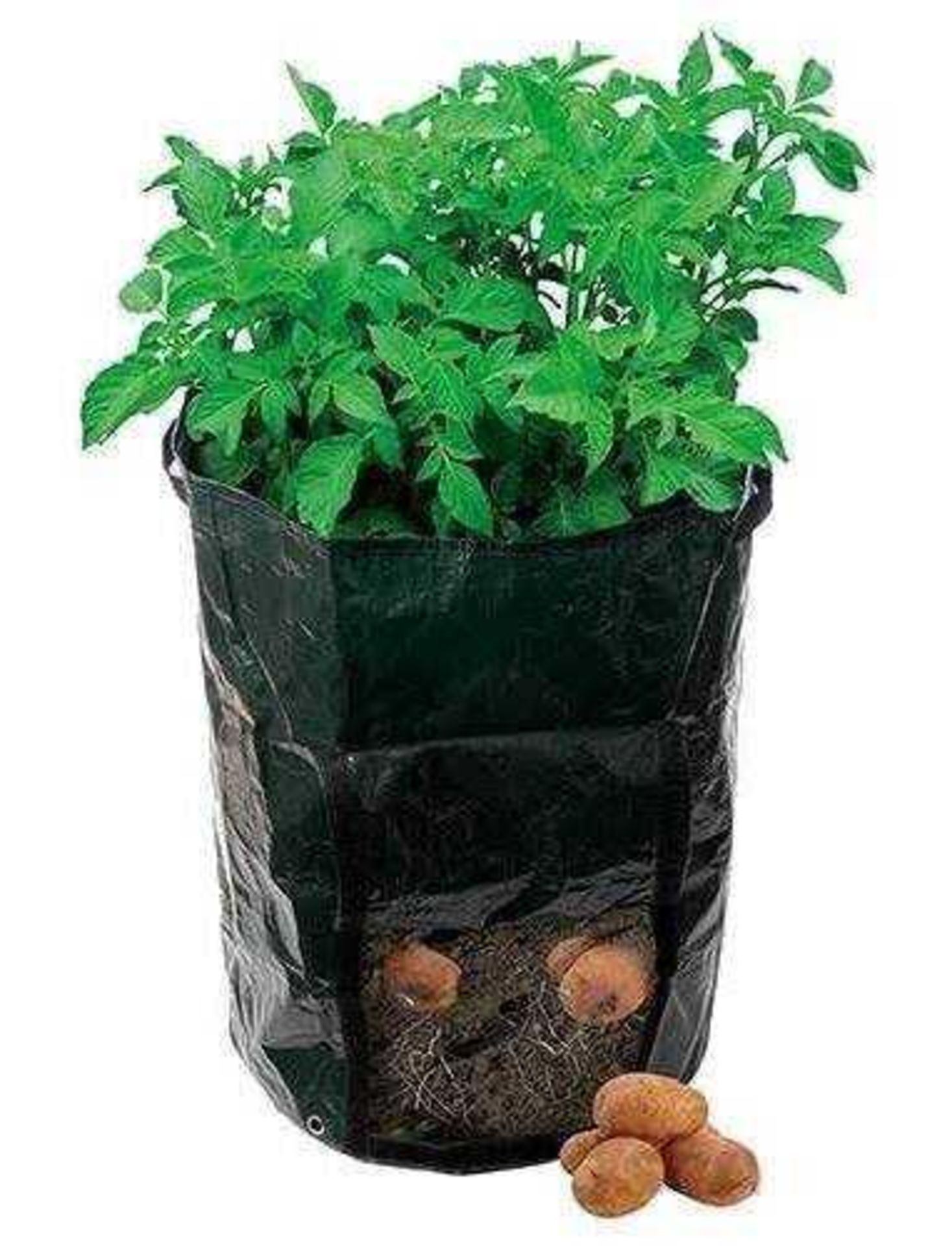 RRP £100 Lot To Contain 10 Packs Of Silverline Potato Planting Bag 360 X 510Mm