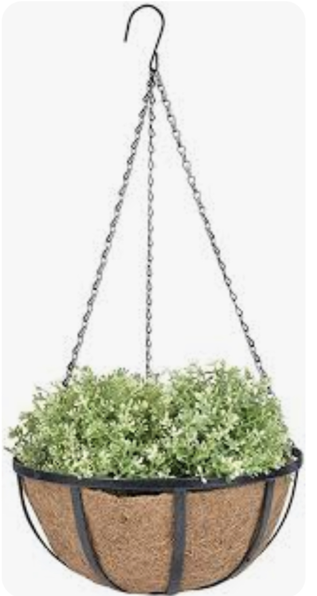 RRP £1352 Lot To Contain 154Items Childrens Gloves Fallen Fruits Ltd Hanging Basket, Black Steinbach