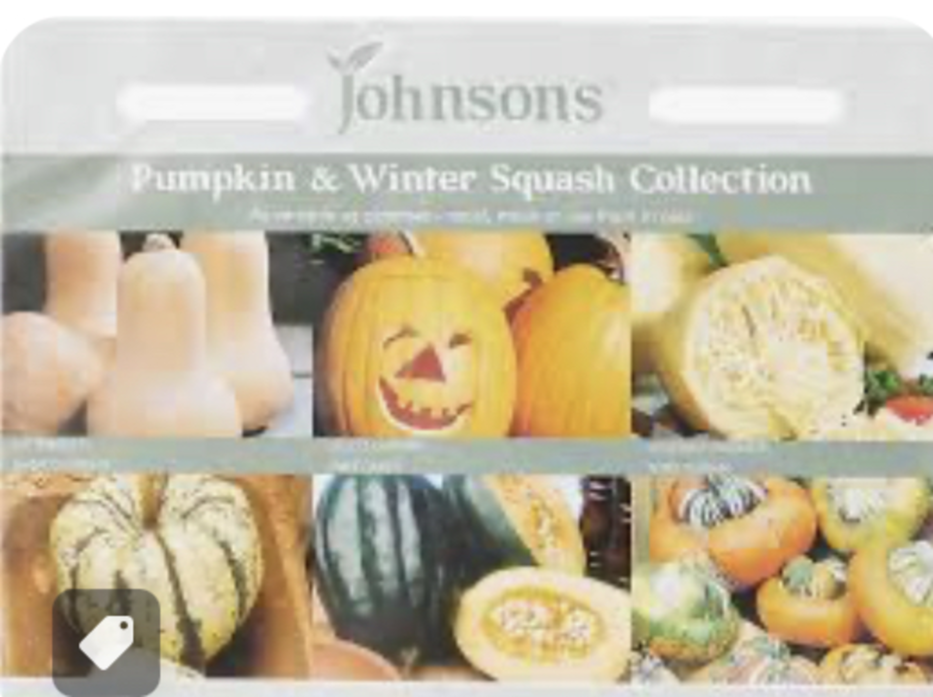 RRP £1130 (Approx. Count 238) spW38g0356K Johnsons 21268 UK/JO/VC Pumpkin and Winter Squash