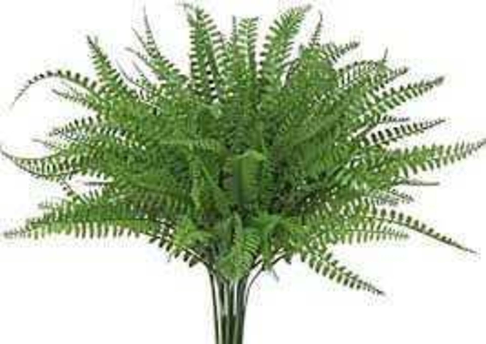 RRP £200 Boxed Large Potted Fern Tree
