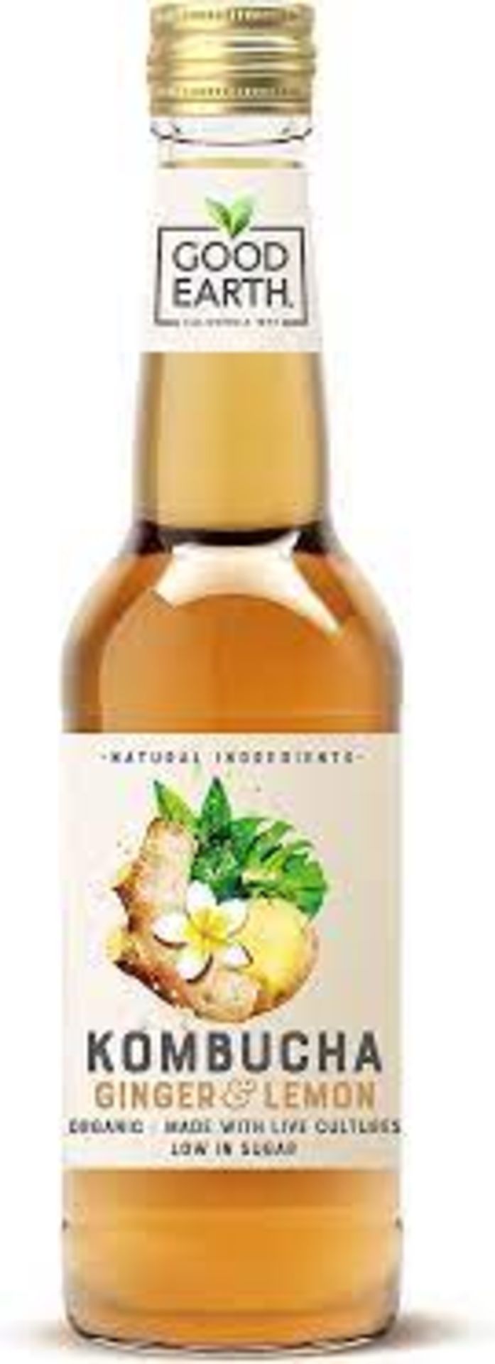 RRP £1231 (Approx. Count 251) Spw47Q8868P "Ginger Kombucha - 1 X 275 Ml Nothing But Tea Burdock Root