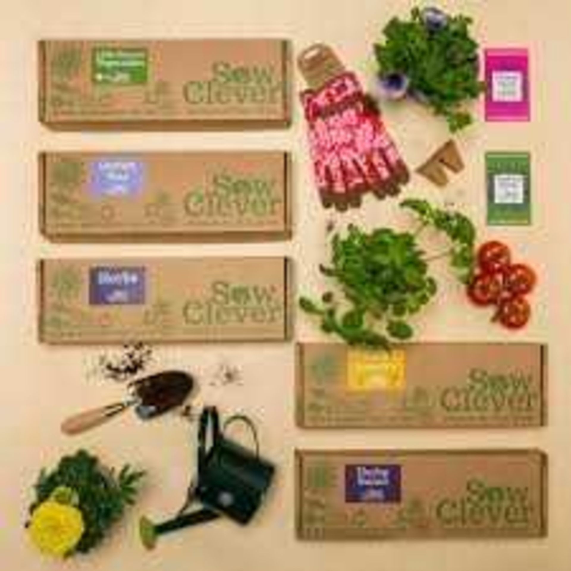 RRP £160 Lot To Contain 8 Boxed Sow Clever Grow Kits