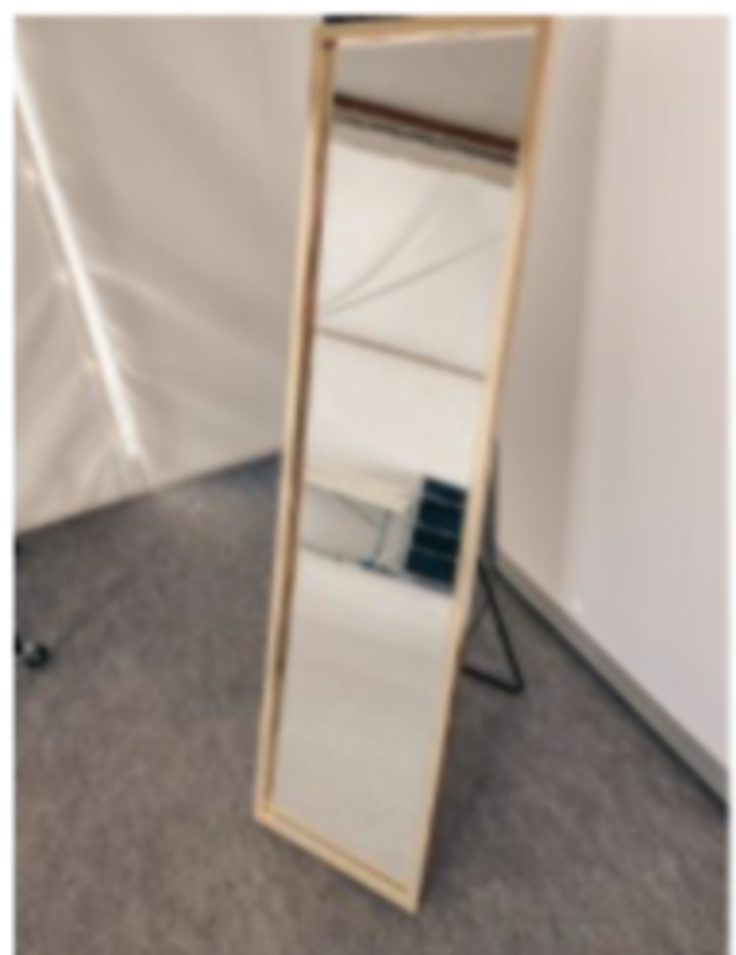 RRP £120 Lot To Contain 1X Floor Standing Mirror (Condition Reports Available On Request, All