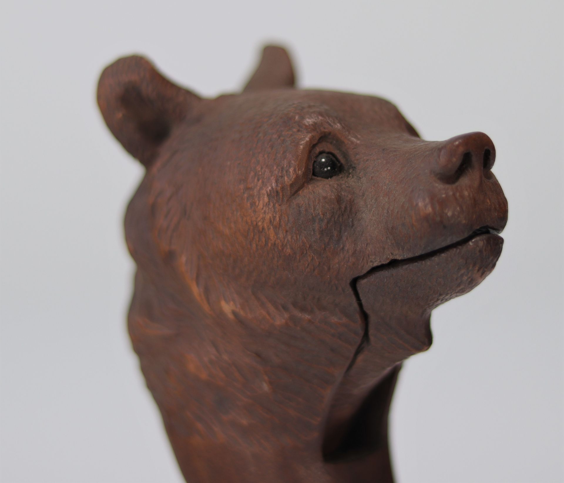 Germany, Black Forest - nutcracker in the shape of a bear - around 1900 - Bild 3 aus 4