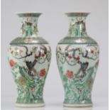 Pair of famille verte vases decorated with trendy birds