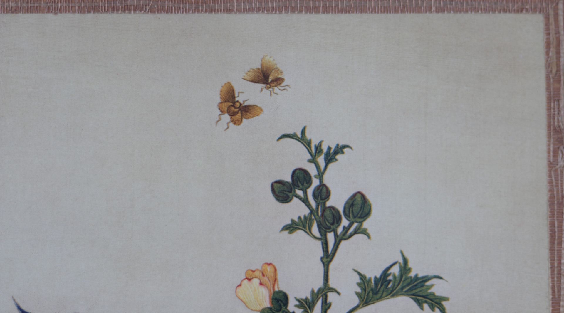 Chinese painting on silk flowers and birds -18th - Image 3 of 4