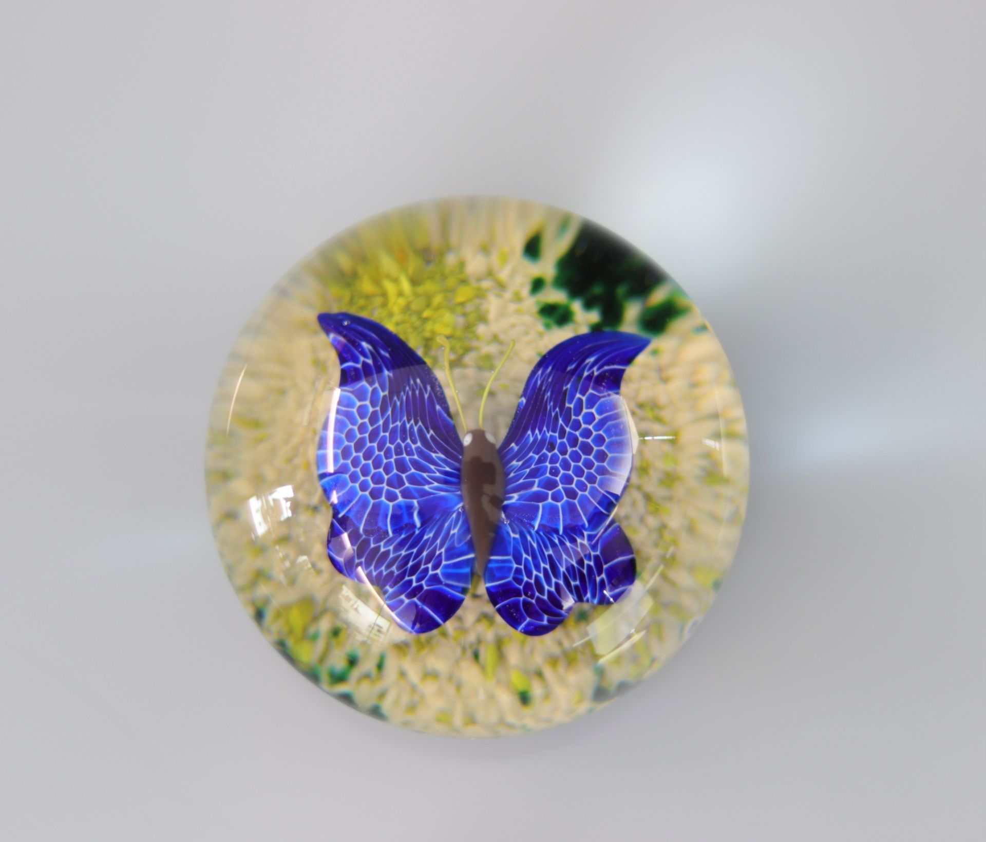 Baccarat paperweight 1978- 23/125, with canes and butterfly on a rocky background