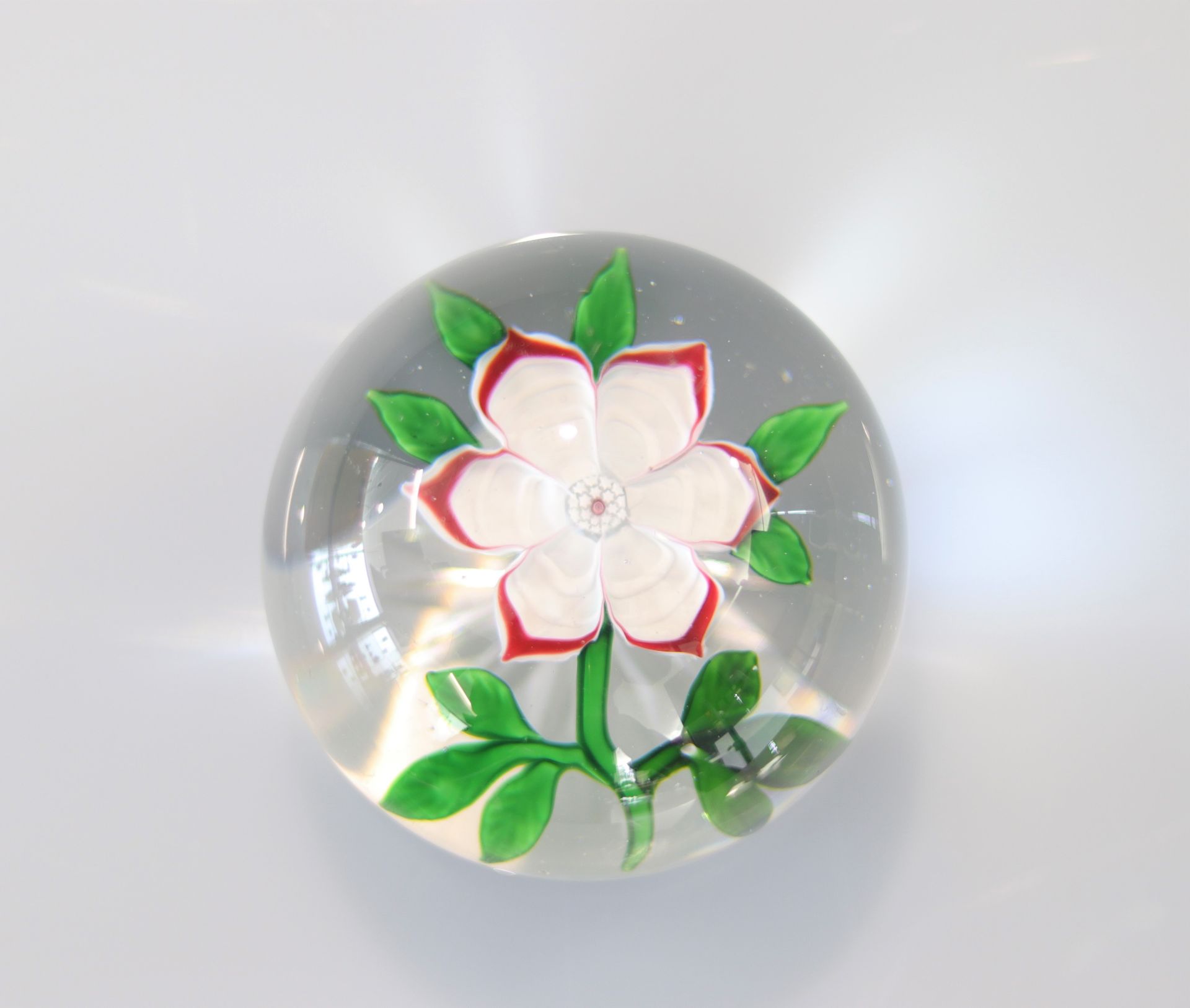 Baccarat paperweight decorated with a 19th century red border primrose