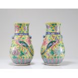 Pair of Chinese famille rose porcelain vases with 19th century phoenix decoration
