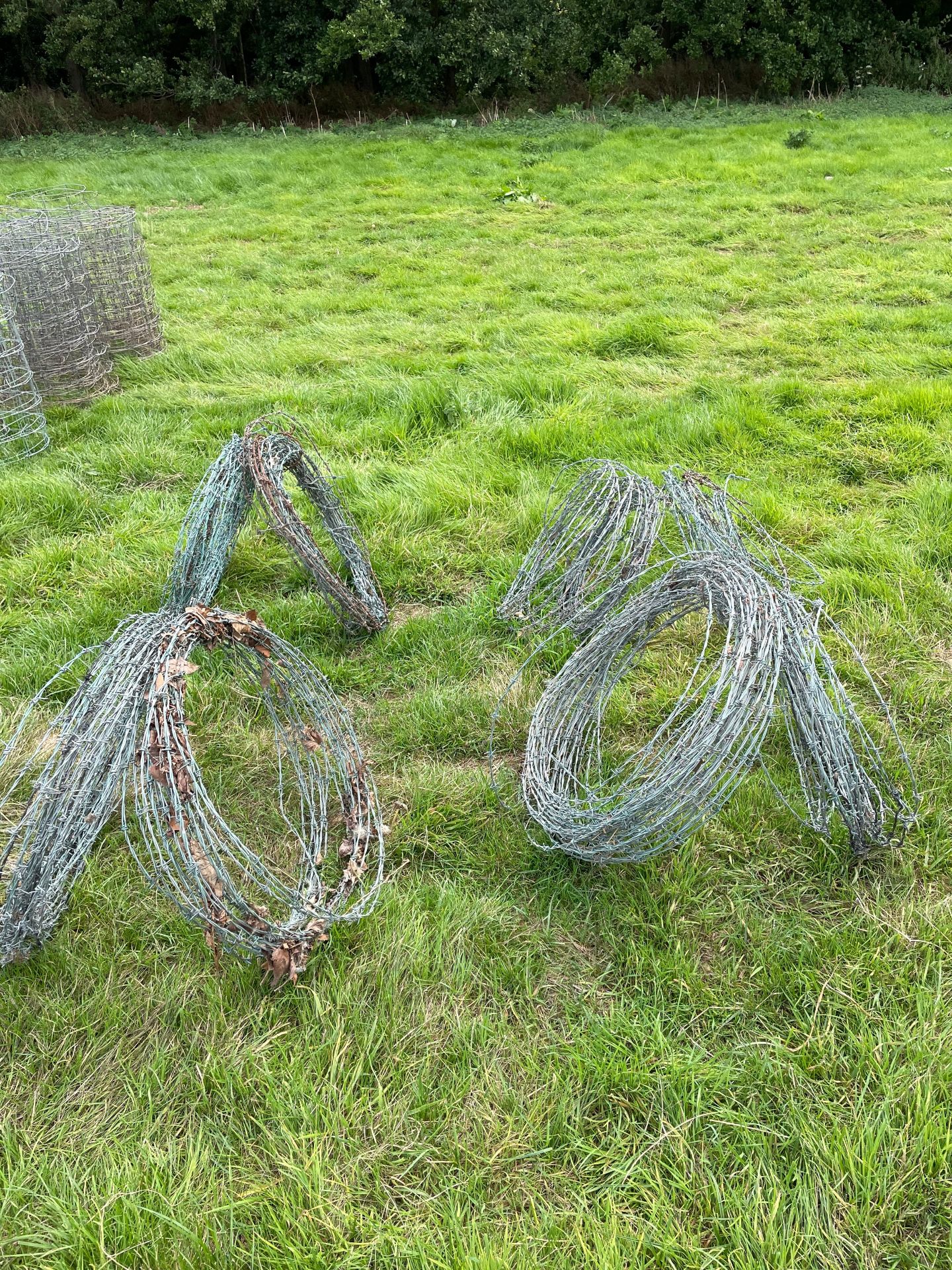 Barbed Wire