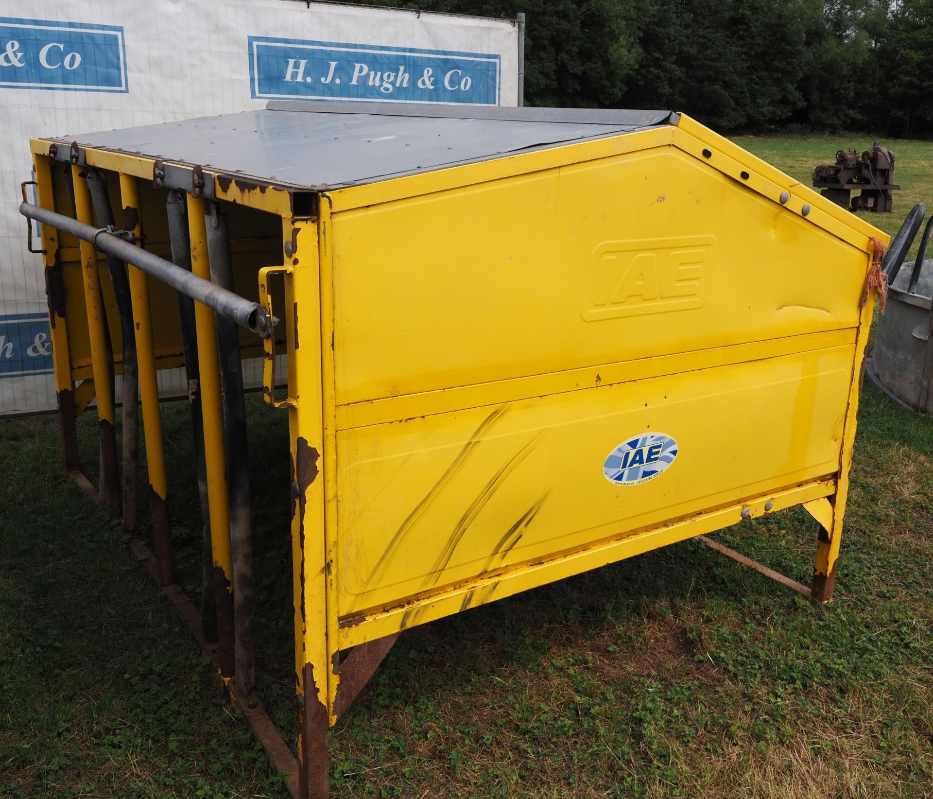 IAE Calf creep feeder