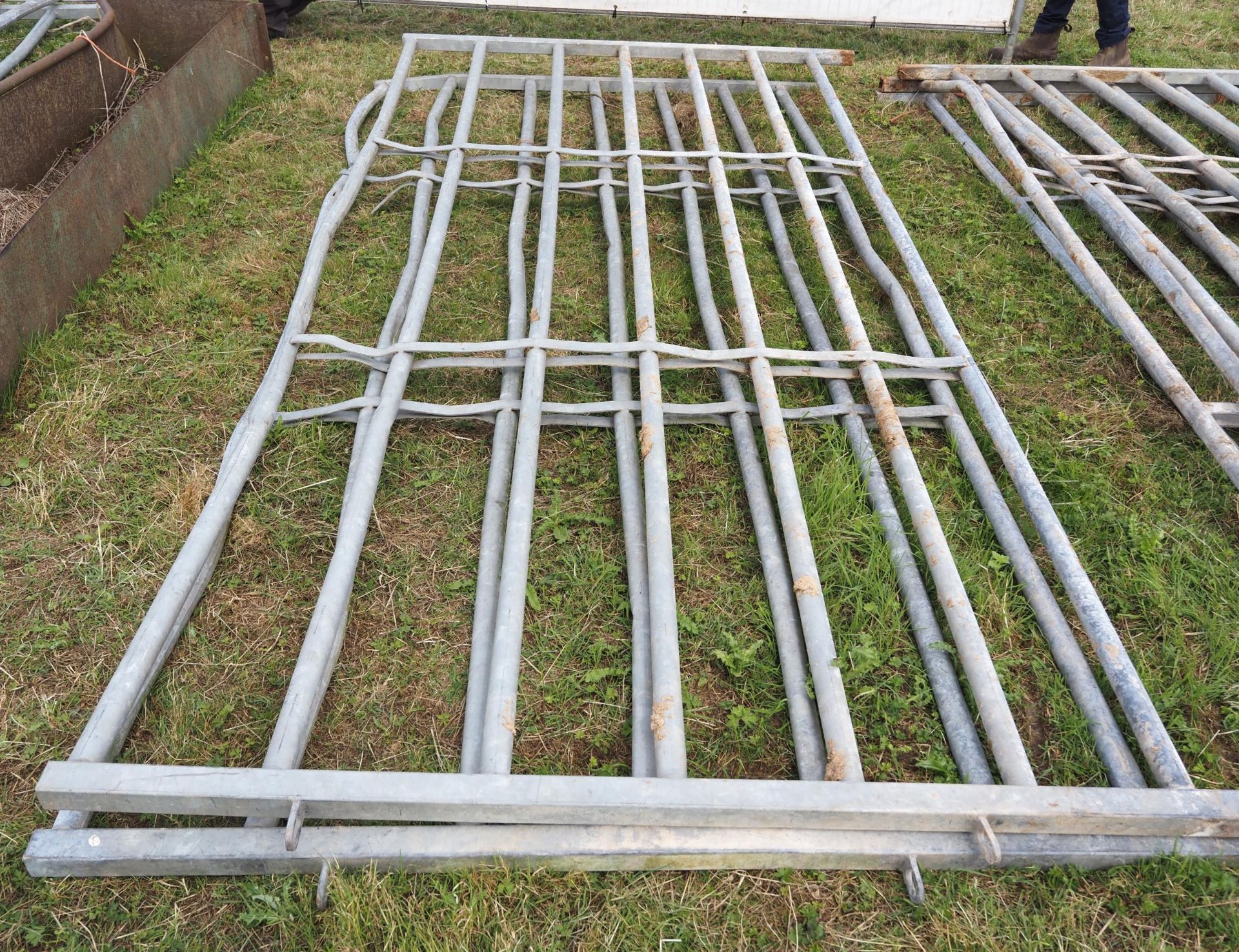 Galvanised cattle hurdles -2