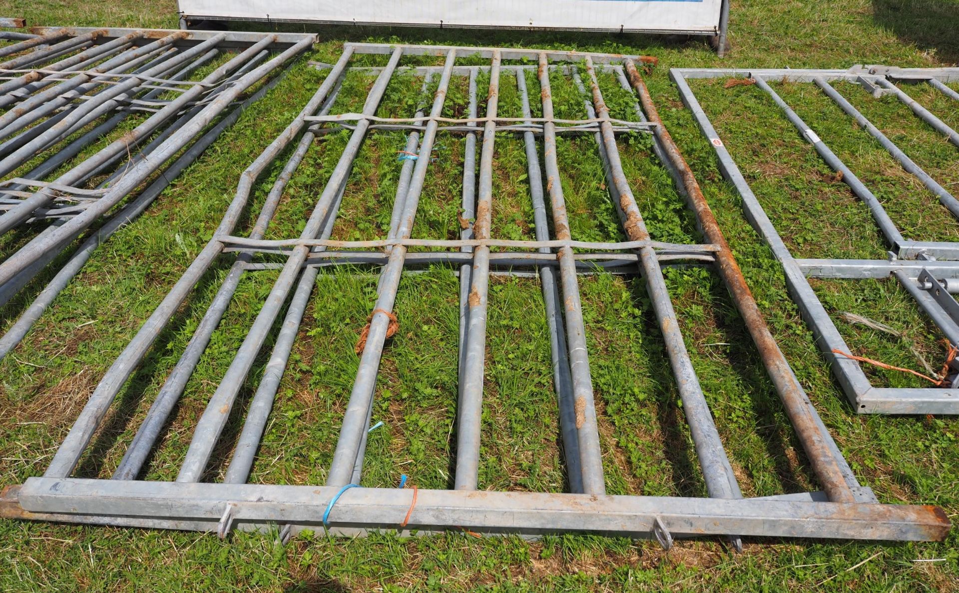 Galvanised cattle hurdles -2