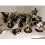 Collection of Countryside Bird & Kingfisher Figures inc Oiseaux (11 in total)