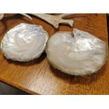 Pair of Natural Mother of Pearl Dishes