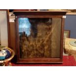 Antique Oak Alphabetised Display Cabinet - 66 x 67 x 9 cm