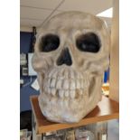 Giant Decorative Shop Display Skull - approx 50cm high