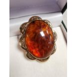 Genuine Amber Brooch within a 9ct Gold Mount - 4.3x3.6cm & 12g