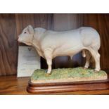 Border Fine Arts - Charolais Bull by Kirsty Armstrong, No 143/500, 21cm, with packaging box & inc in