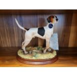 Border Fine Arts - Foxhound by Margaret Turner, No 61/500, 26cm, with packaging box & inc inner fitt
