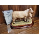 Border Fine Arts - Charolais Cow and Calf by Ray Ayres, No 1143/1500, 20cm, with packaging box & inc