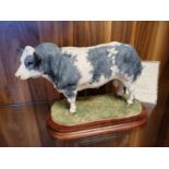 Border Fine Arts - Belgium Blue Bull by Jack Crewdson, No 284/500, H 23cm, with packaging box & inc