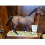 Border Fine Arts - Thoroughbred Stallion by David Mayer, No 131/150, 40cm, with packaging box & inc