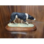 Border Fine Arts - Border Collie 055 by Maud Lang, 1980, 11cm, with original BFA Blue Box