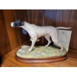 Border Fine Arts - English Pointer, No 122/500, 22cm, with packaging box & inc inner fitted polystyr