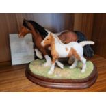 Border Fine Arts - Vanna Mare and Foal by Anne Wall, No 209/750, 22cm, with packaging box & inc inne