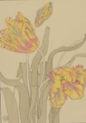 Jane Foord (British, 19th/20th century), a plant study of tulips, coloured stencil, 25.3 x 18cm (I)