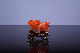 A Chinese carved carnelian figure of a lion dog, with carved hardwood stand