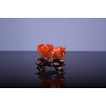 A Chinese carved carnelian figure of a lion dog, with carved hardwood stand