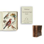 Zwei Originalbände Abbildungen naturhistorischer Gegenstände