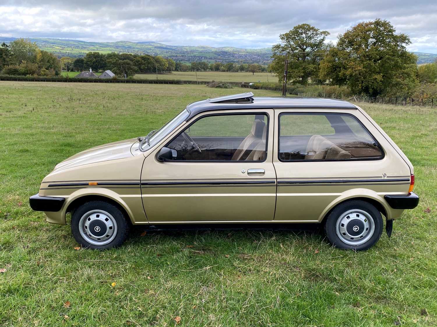 1983 Austin Metro Vanden Plas *** NO RESERVE *** - Image 10 of 64