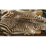 Taxidermy: Plains Zebra (Equus quagga), prepared skin, 20th century, 322cm long nose tip to tail