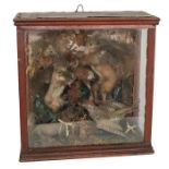 Taxidermy: A mid-Victorian cased Group of two Red Squirrels, two tiny puppy dogs, and a Green