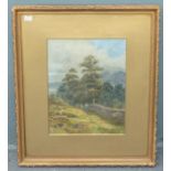 SE Hodges, a rambler in the countryside, watercolour signed bottom left, mounted framed and