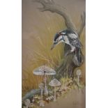 Marjorie Blamey, Woodpecker with fungi signed watercolour, and another; Wrens (2)