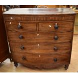 A George IV two above three bow front chest of drawers, in mahogany, original knob handles, ivory