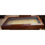Oak and glass case collectors / display case, 110x64cm